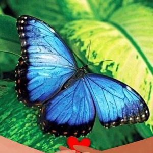 Meet your Posher, Avery